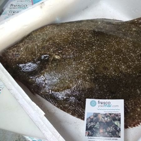 Coruxo o rémol