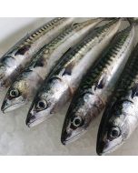 Caballa