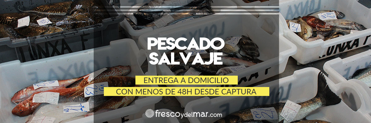 Pescado fresco a domicilio