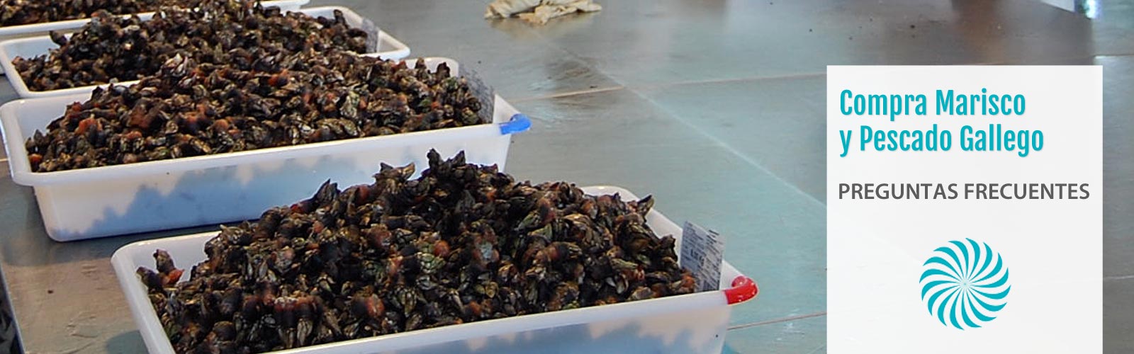 comprar marisco y pescado gallego