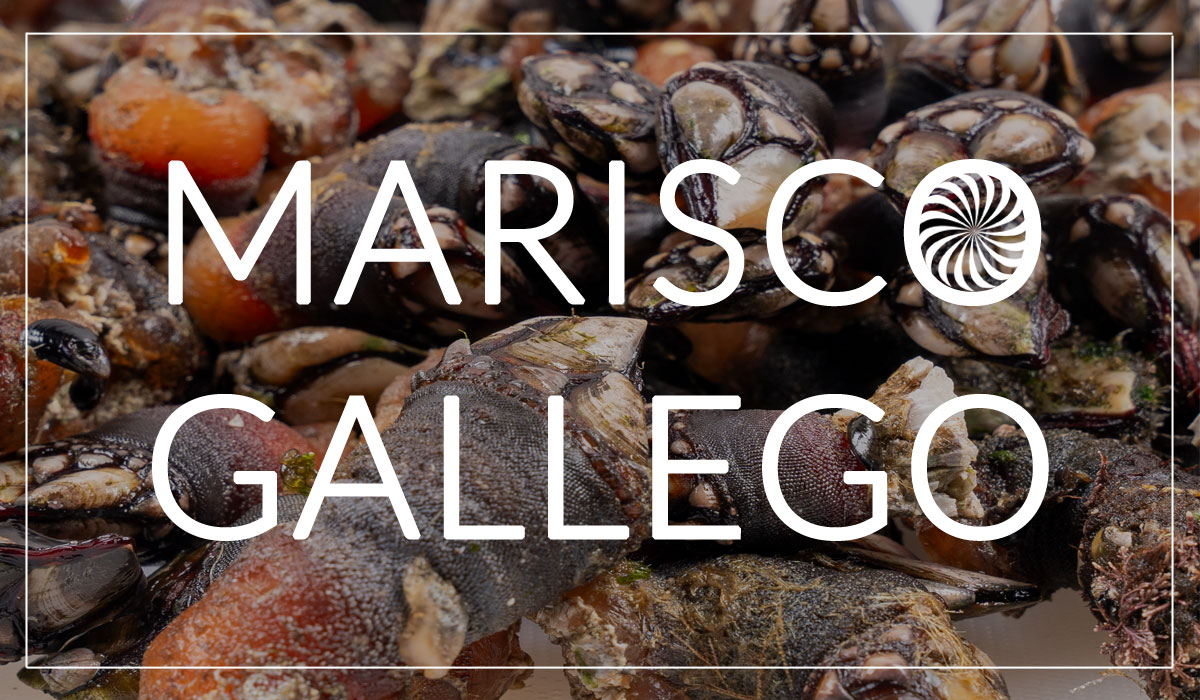 Comprar marisco de galicia a domicilio Comprar marisco gallego a domicilio