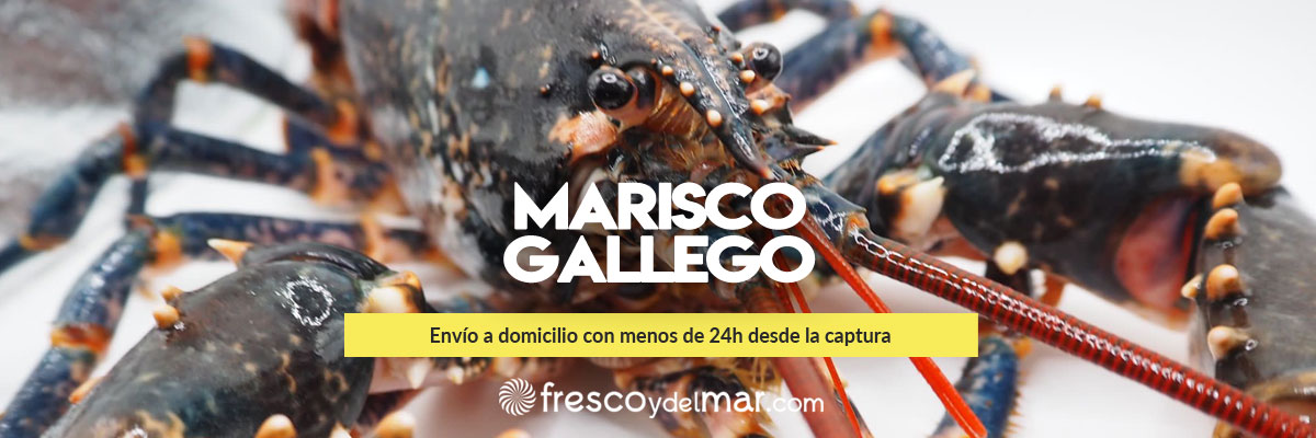 Marisco gallego a domicilio