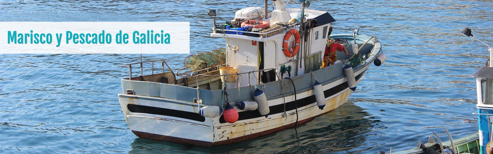pescaderia online gallega