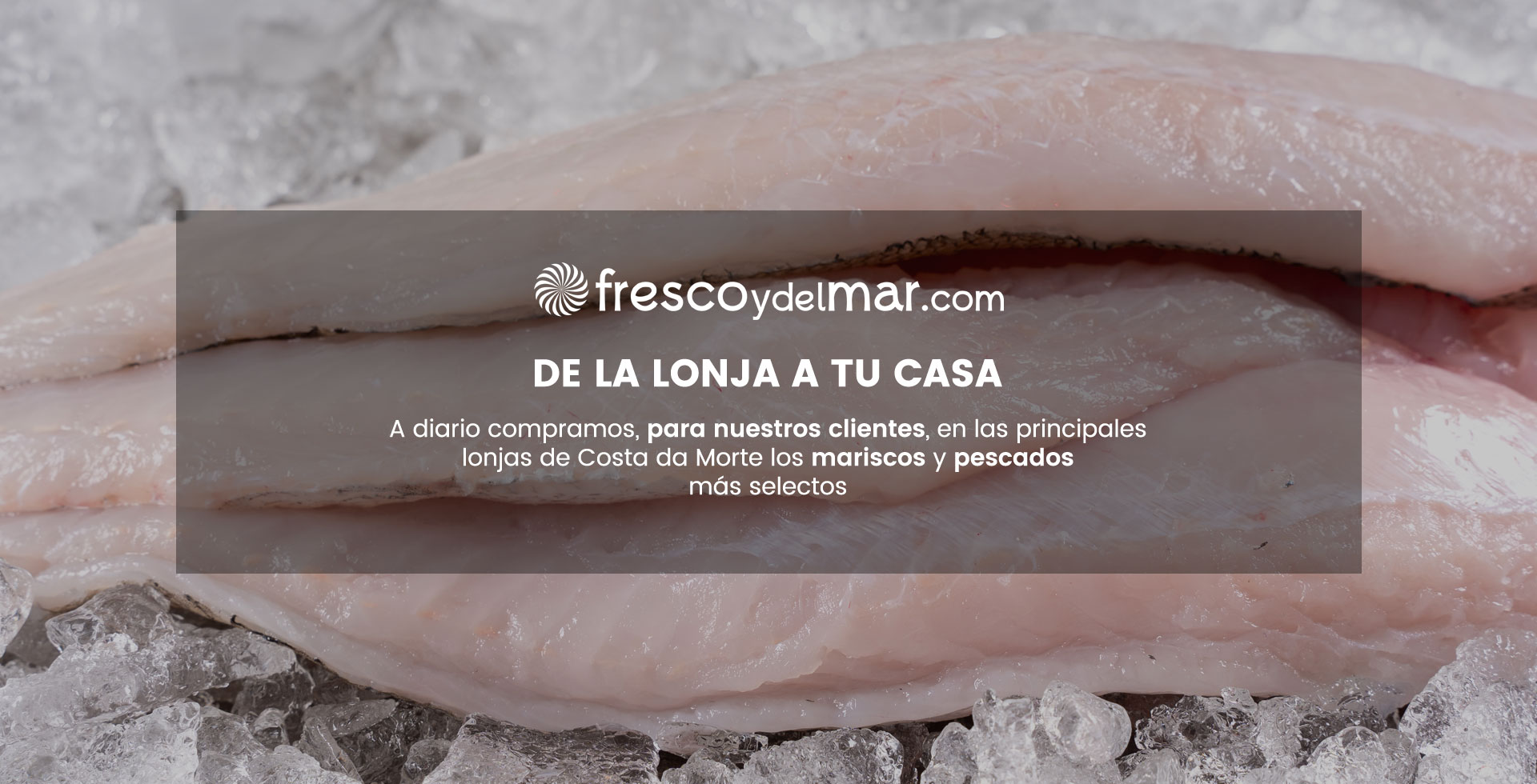 pescaderia online marisco y pescado fresco y salvaje pescaderia online marisco y pescado fresco y salvaje
