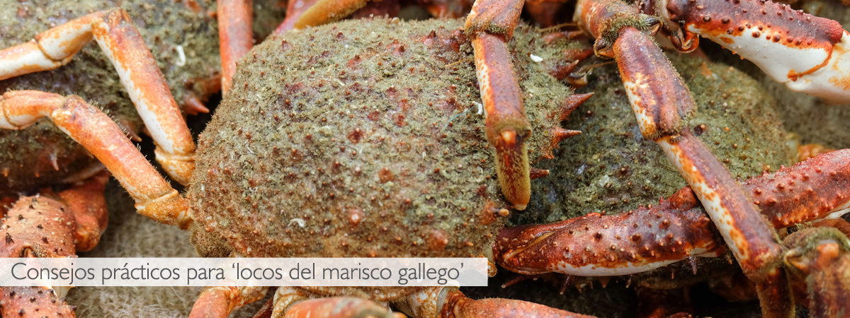 tiempos de coccion marisco gallego